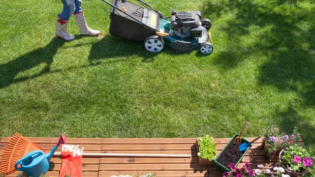 Home Decor and Garden